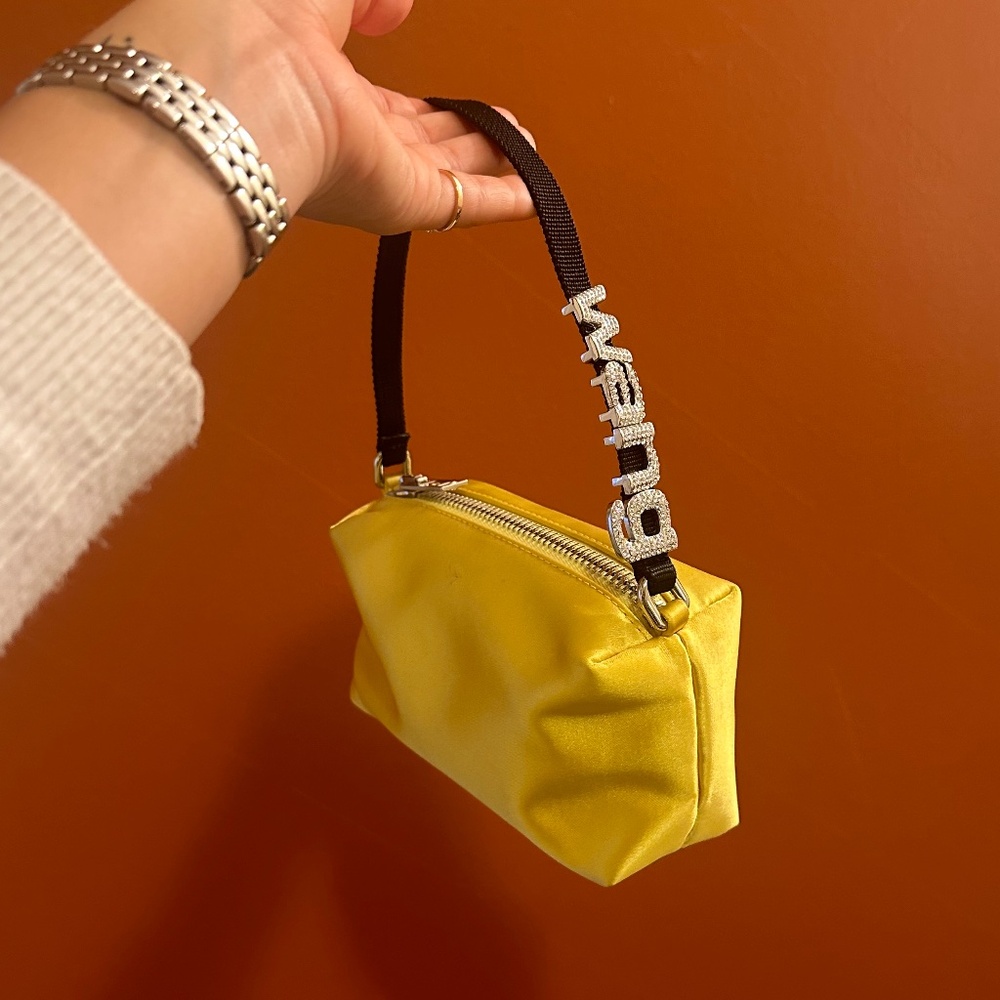 Alexander Wang Heiress Satin Bag